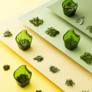 Conceptual studio photography of herbs and product.