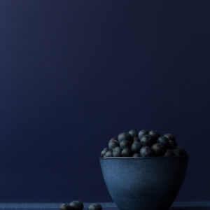 Blueberries monochromatic fine art studio photography