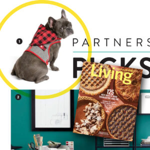 Martha Stewart Living Magazine pet clothing advertisement