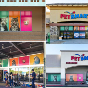 PetSmat retail store fronts featuring pet studio photography